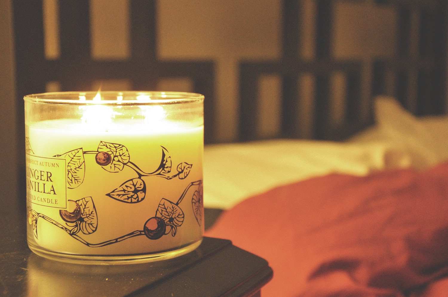 [ginger+vanilla.jpg]