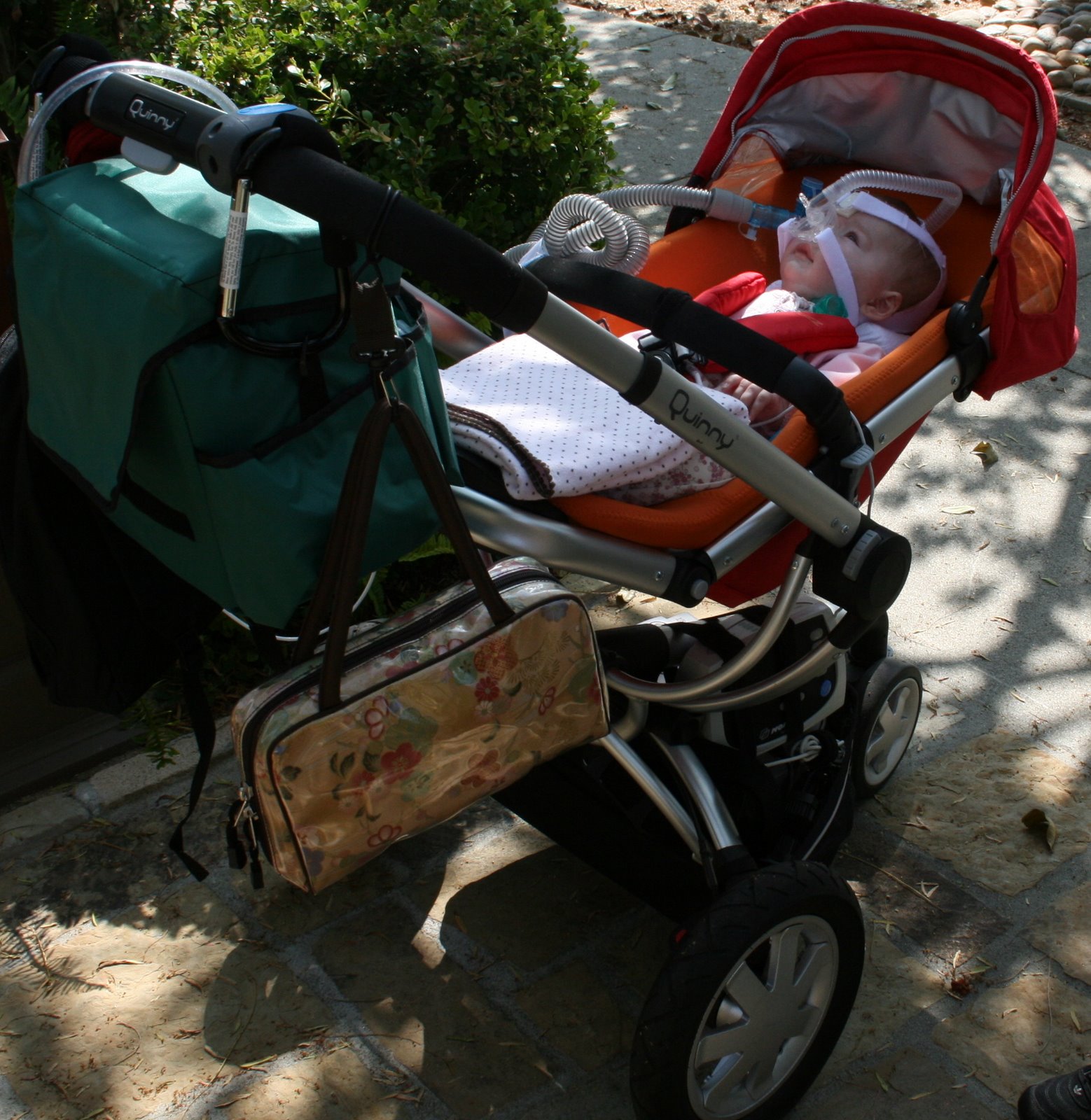 [IMG_3233_2.JPG]