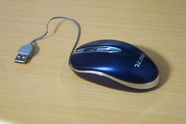 [new+mouse4.jpg]