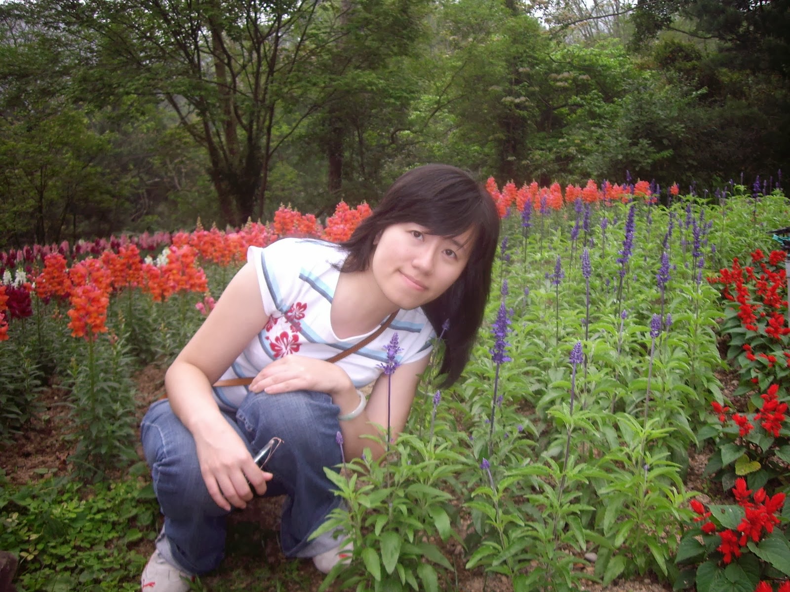 [IMGP0042.JPG]