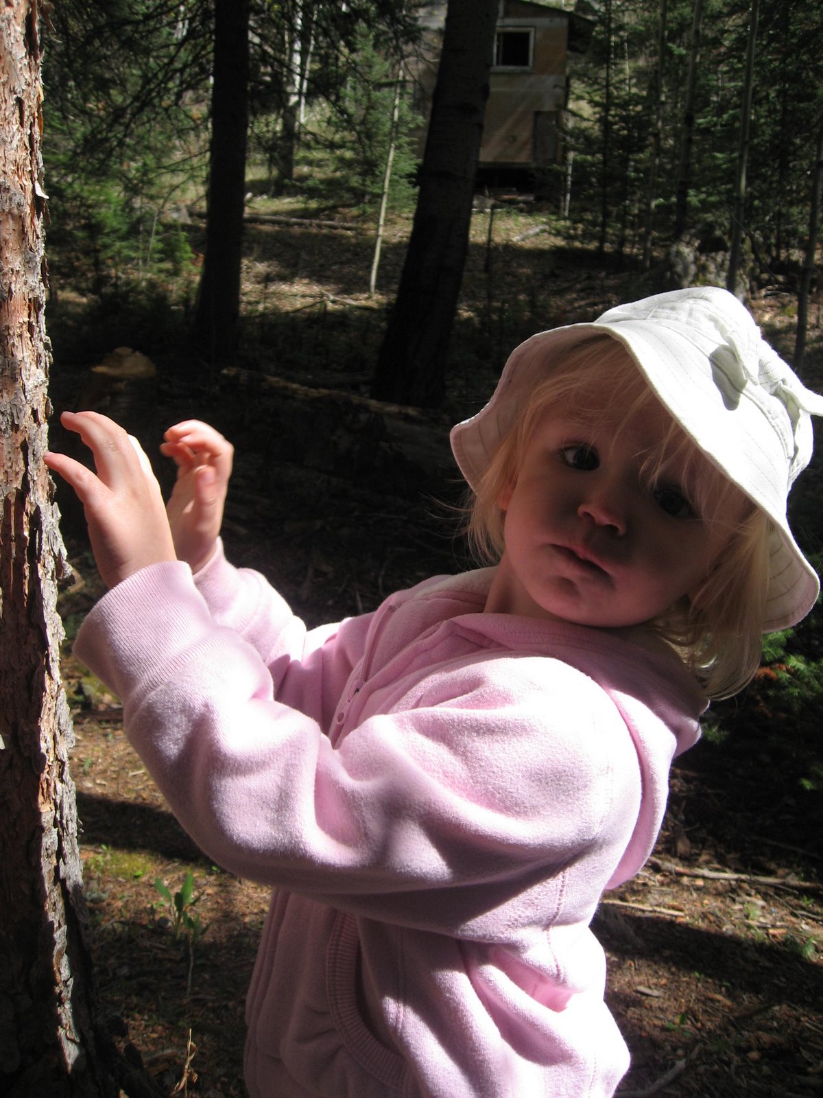 [IMG_6950.JPG]