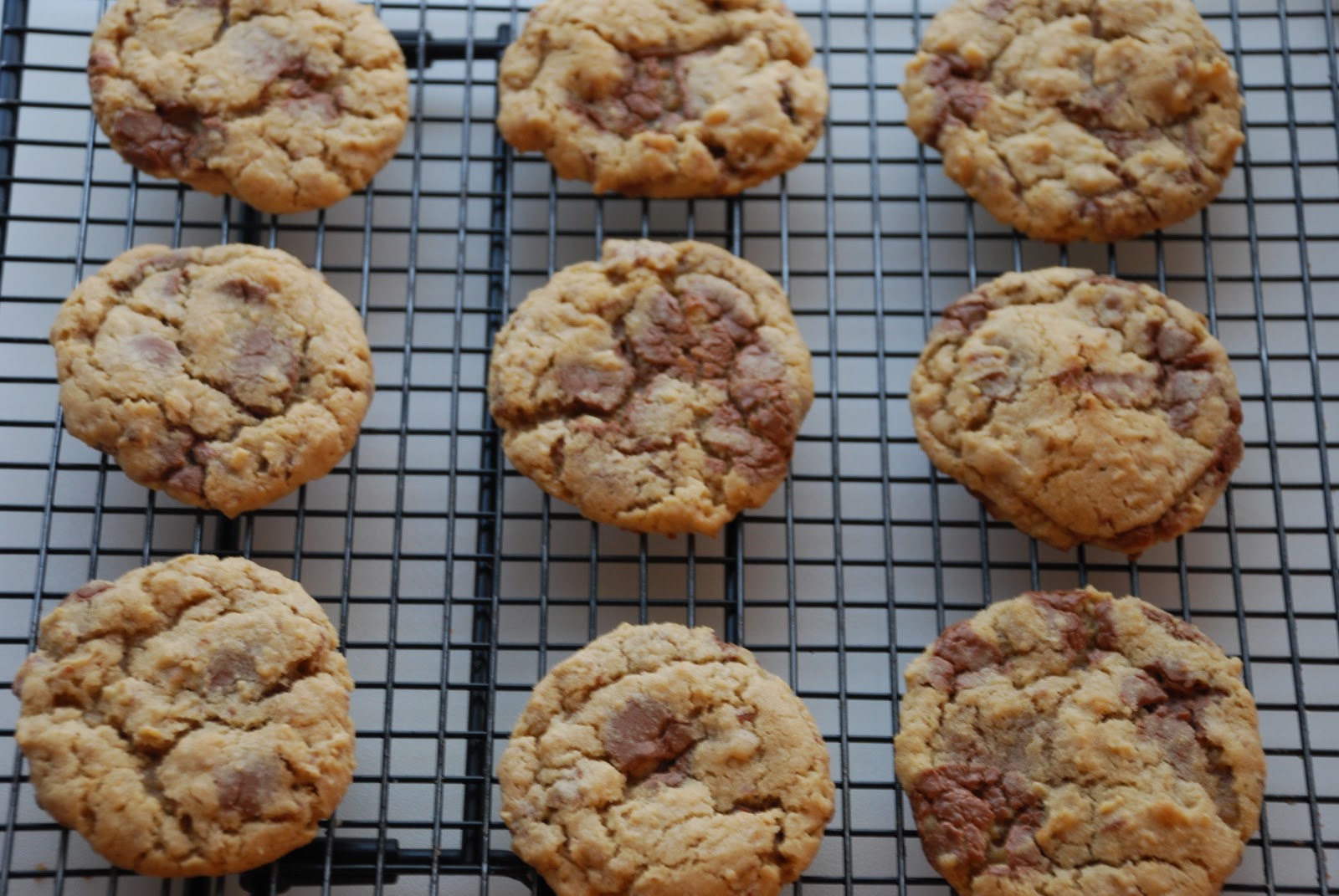 Everyday Insanity... Food Processor Cookies