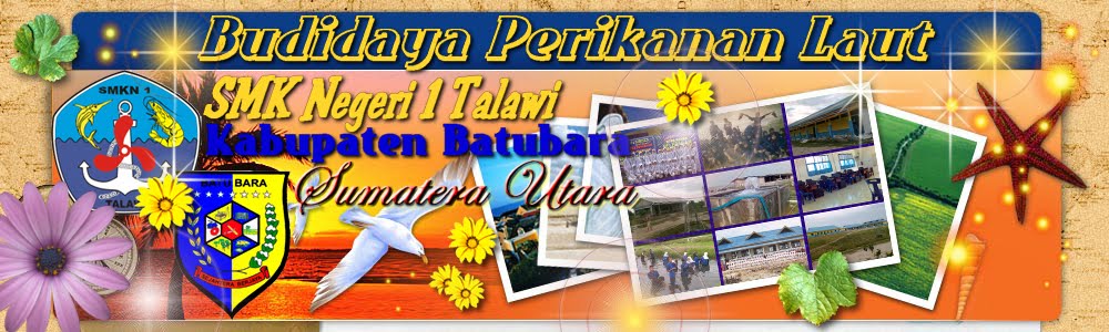 Alumni SMKN 1 Talawi 2006
