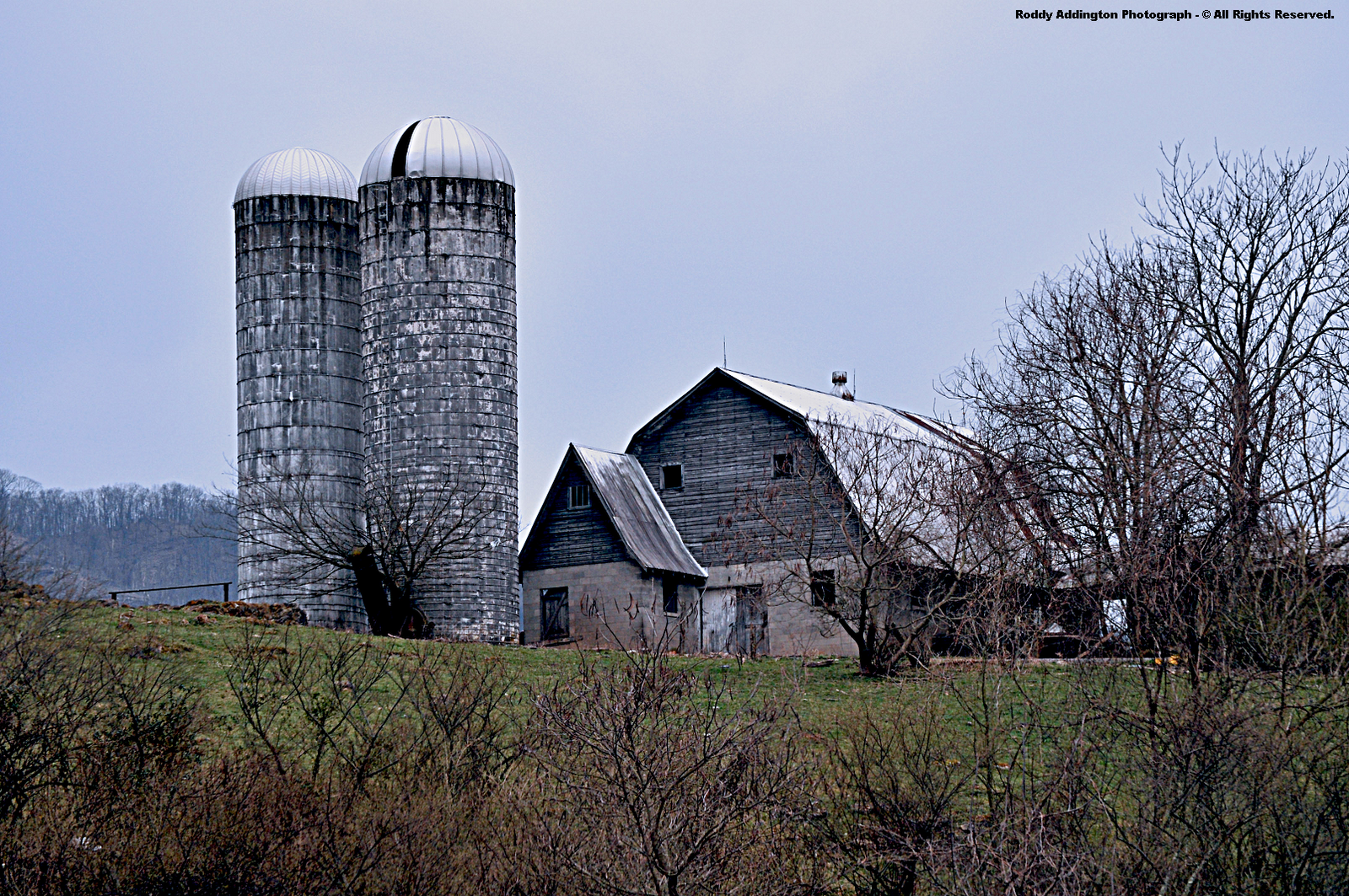 The High Knob Landform Glorious Spring Renewal & March Madness!