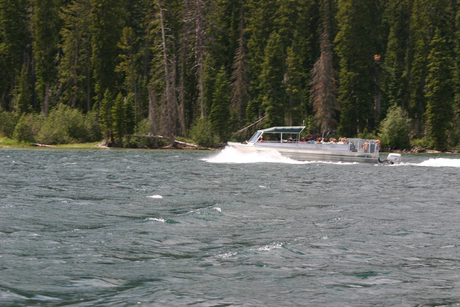 [IMG_3145.jpg]