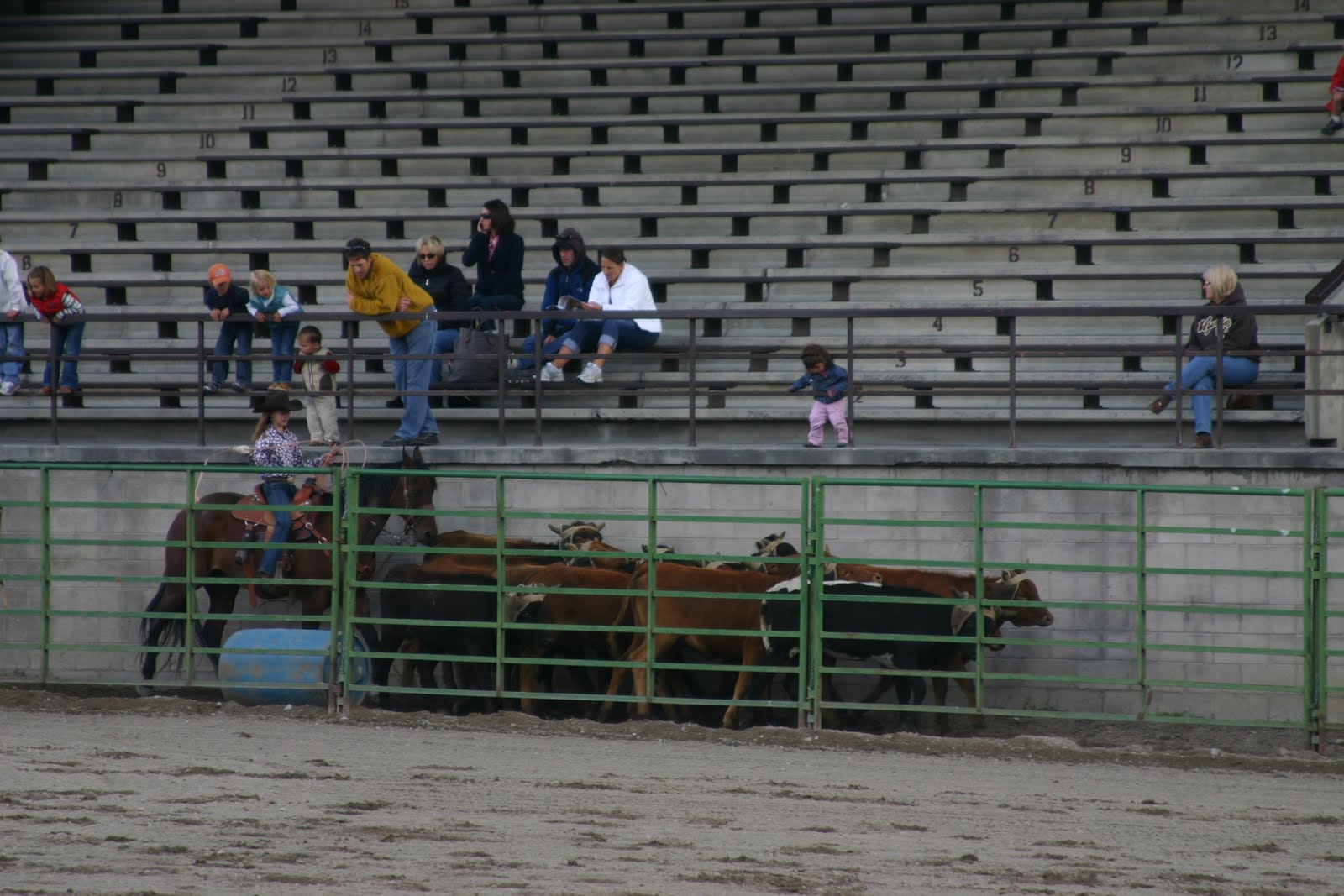 [IMG_3385.jpg]