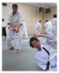 Aikido is Applicable in Everyday Life