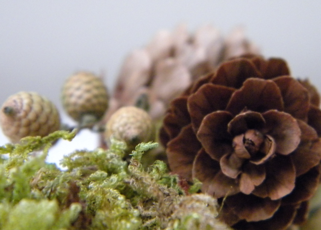 Mini Yule Logs — Mountain Hedgewitch