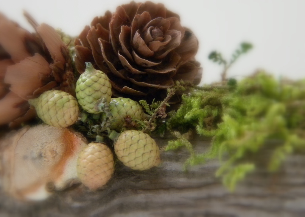 Mini Yule Logs — Mountain Hedgewitch