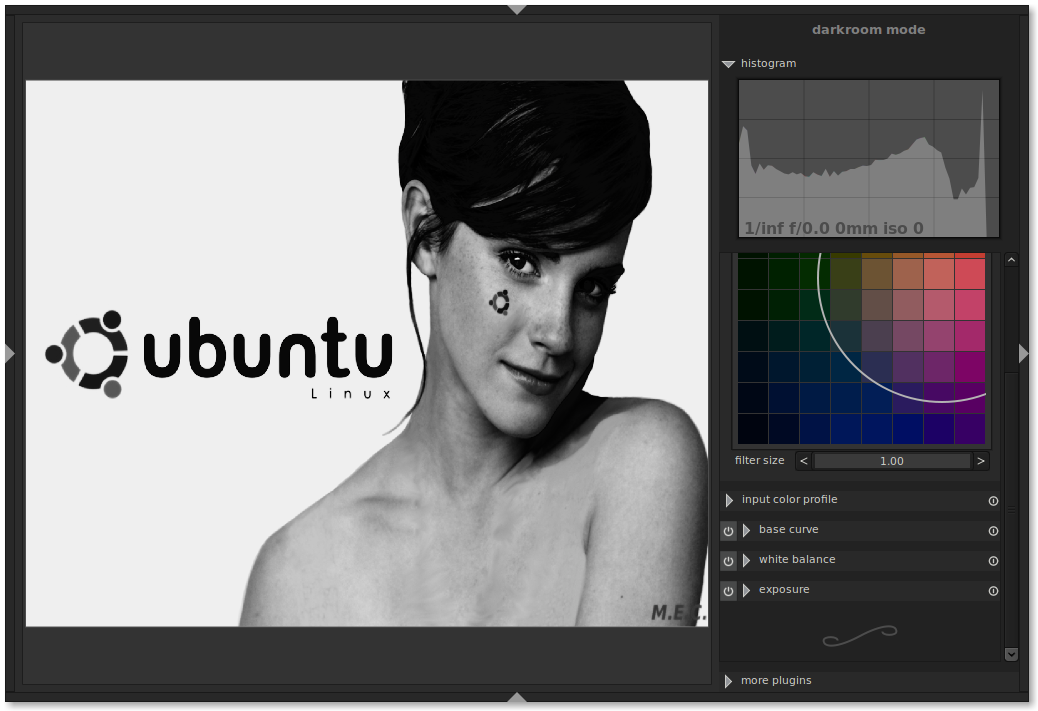 Free Linux Ubuntu Darktable Una camera Oscura