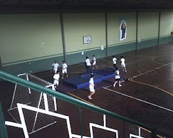 escuela de aros alemanes