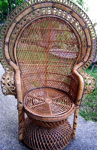 [peacock+chair.jpg]