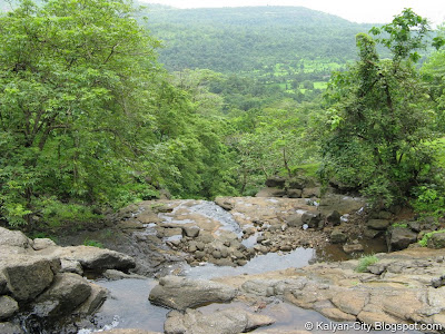 Jungle River