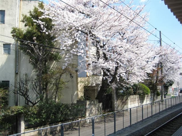 [IMG_0028+(Small).jpg]