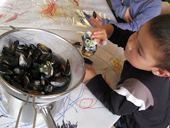 Vi har samlet levende muslinger: