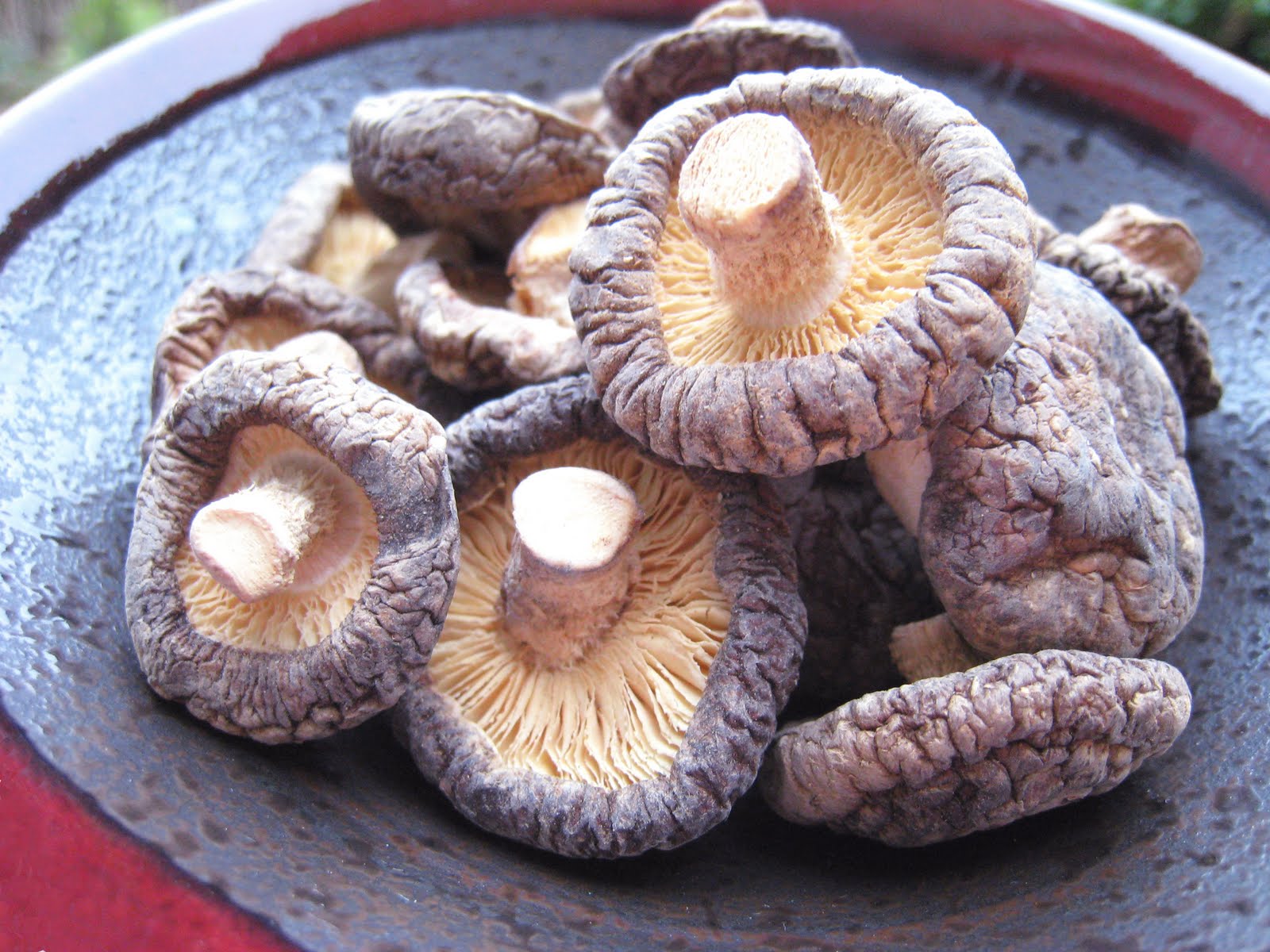 Hunger and Sauce Szechuan peppered aubergine with chinese mushrooms