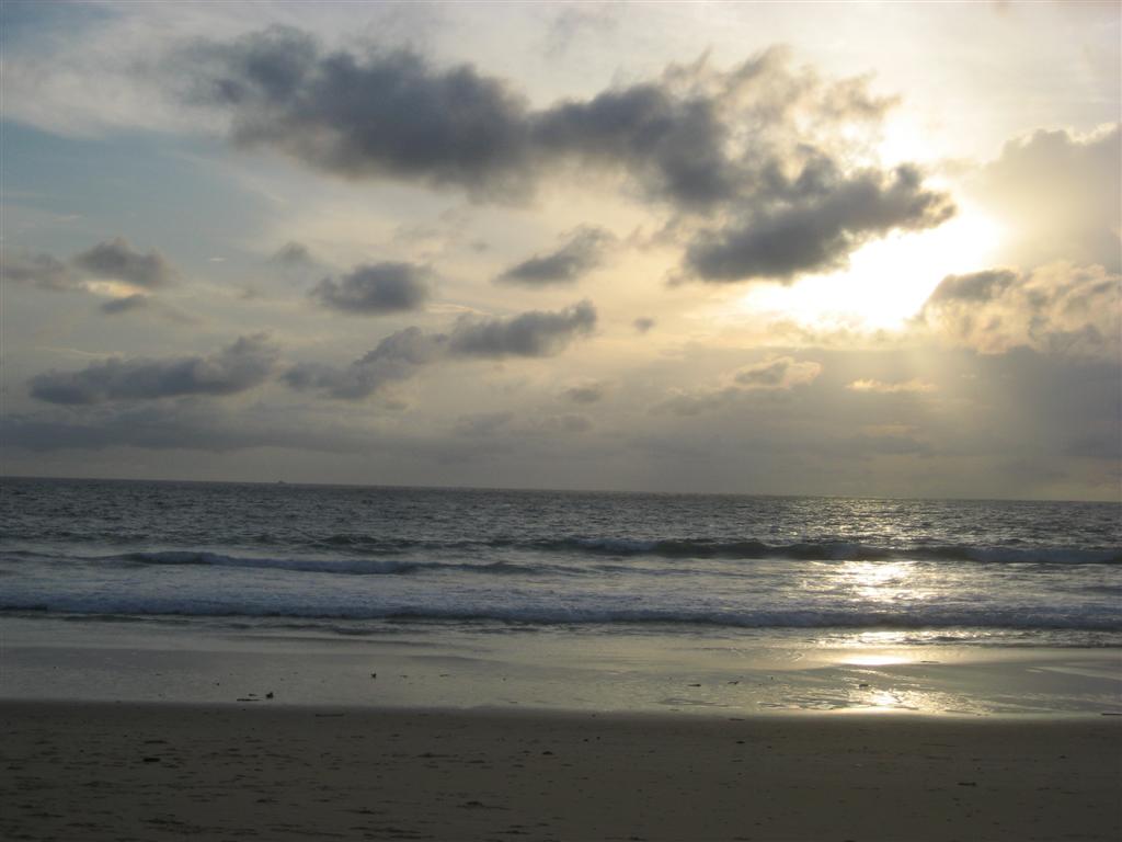 [IMG_8032+(Large).JPG]