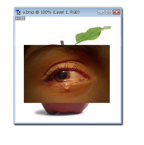Tutorial Crying Apple Orlando Lab