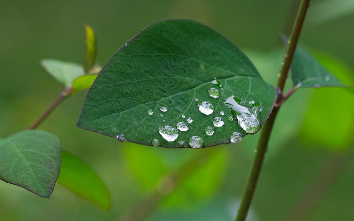 لا تنسي ذكر الله