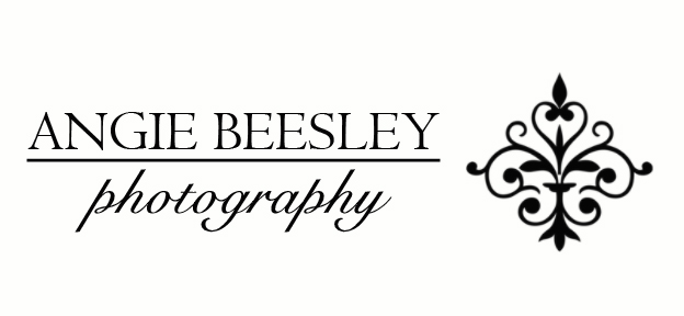 angie beesley photography