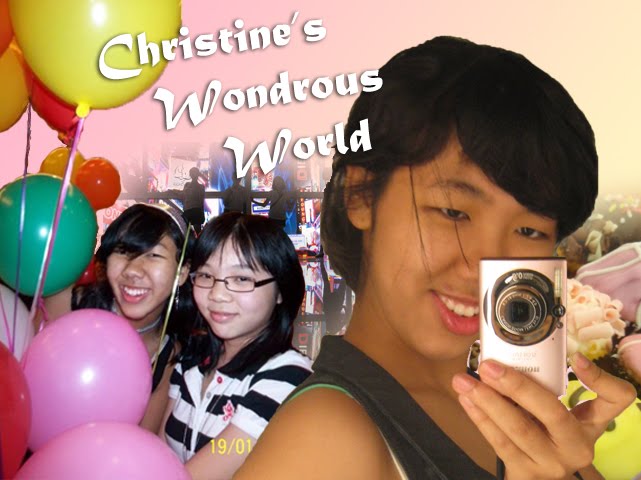 Christine's Wondrous World
