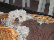 Micky
