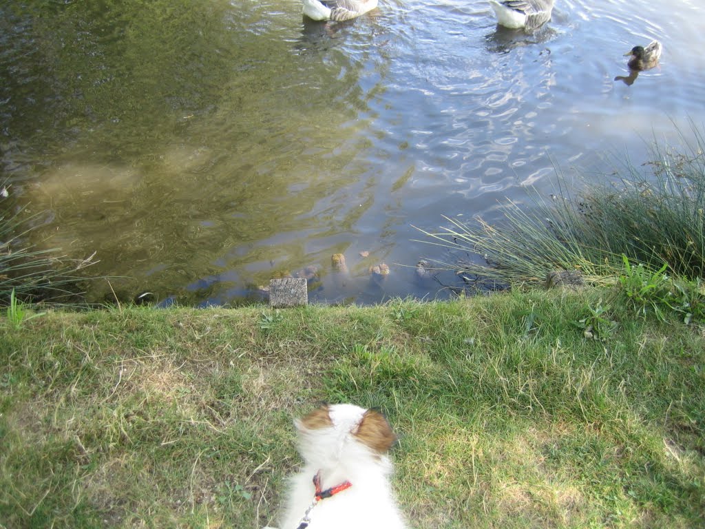 [10+Aout+09+015.JPG]