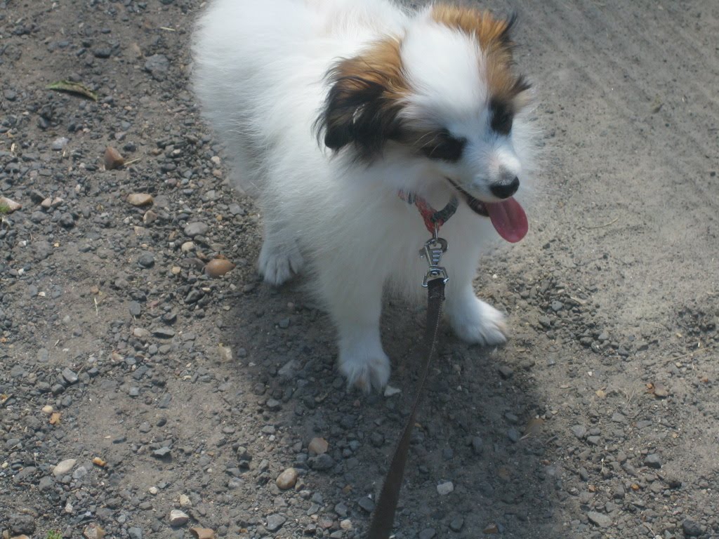 [10+Aout+09+007.JPG]