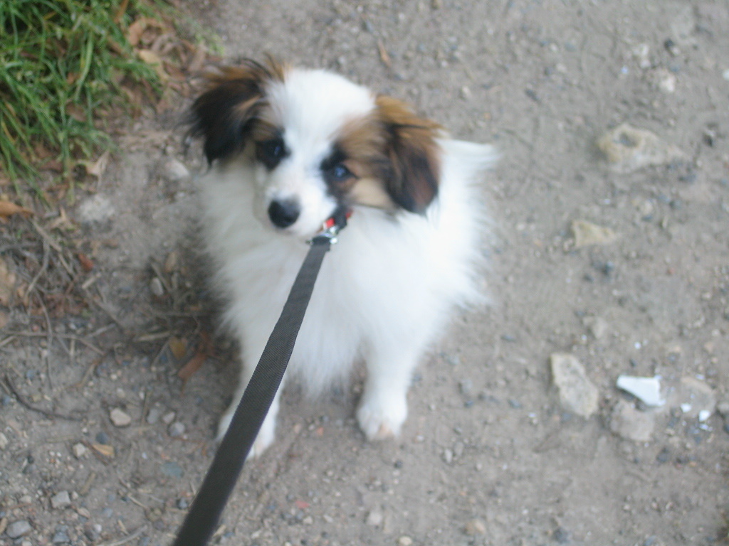 [10+Aout+09+003.JPG]