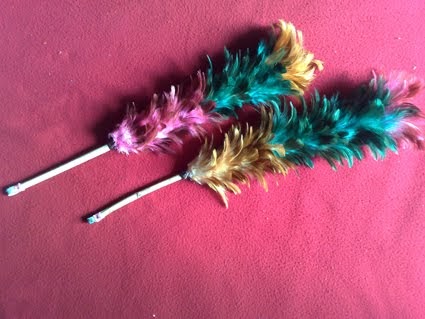 16 Kerajinan Unik Dari Bulu Ayam