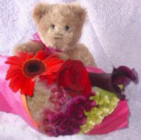 Cute Teddy Bear Blog Award from Charlotte. Thank you!