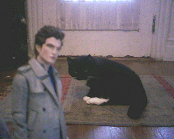 [ome+kitty-sits.jpg]