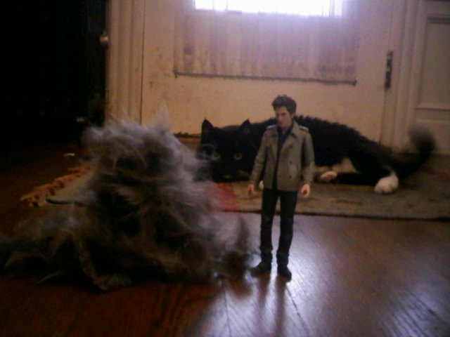 [OME+a+lotta+fur.jpg]