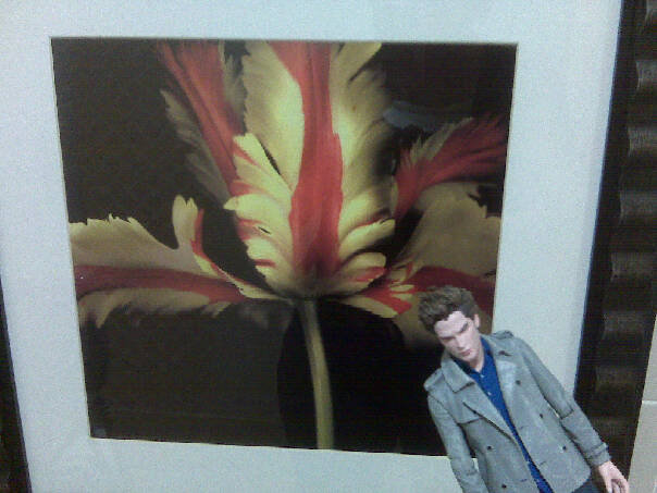 [Pocket+Edward+hotel.jpg]