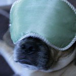 [respectChuck-Protest-150x150.jpg]