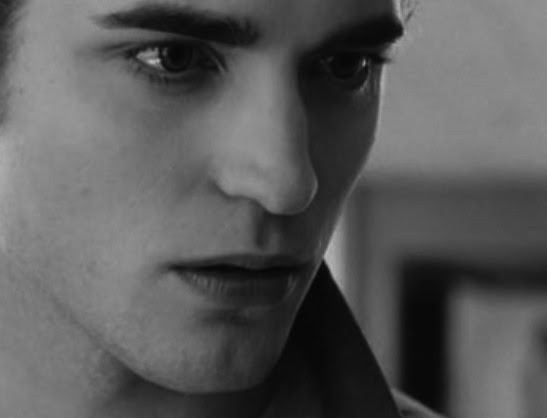 TWITARDED: The Twilight Porno: We Watch It So You Don't Have To