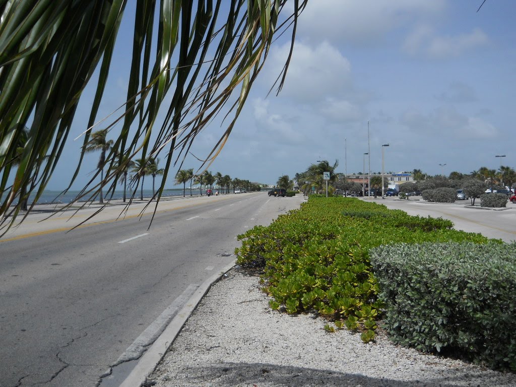 Riding Green Girl Summer of 2010 June 27, 2010 Day 22 What, Key