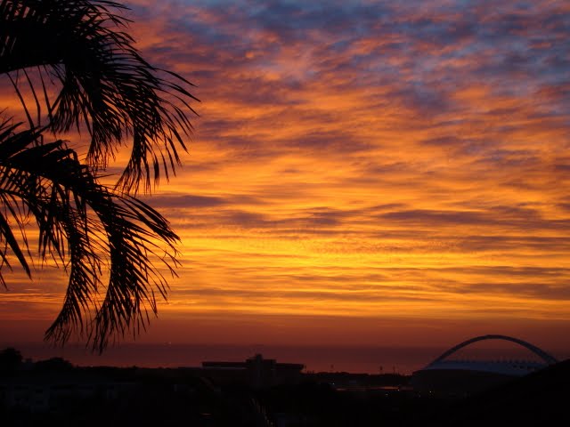 DSC01114Sun1.jpg