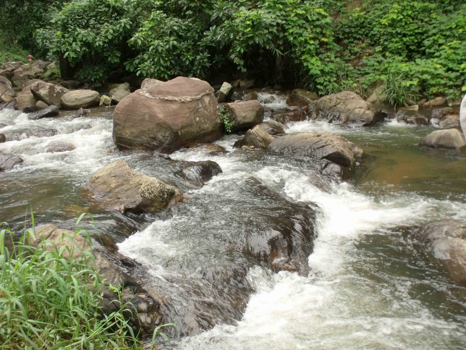 philipveerasingam A country stream for a picnicbath, Thummodara, Sri