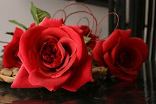 Rosas do Amor...