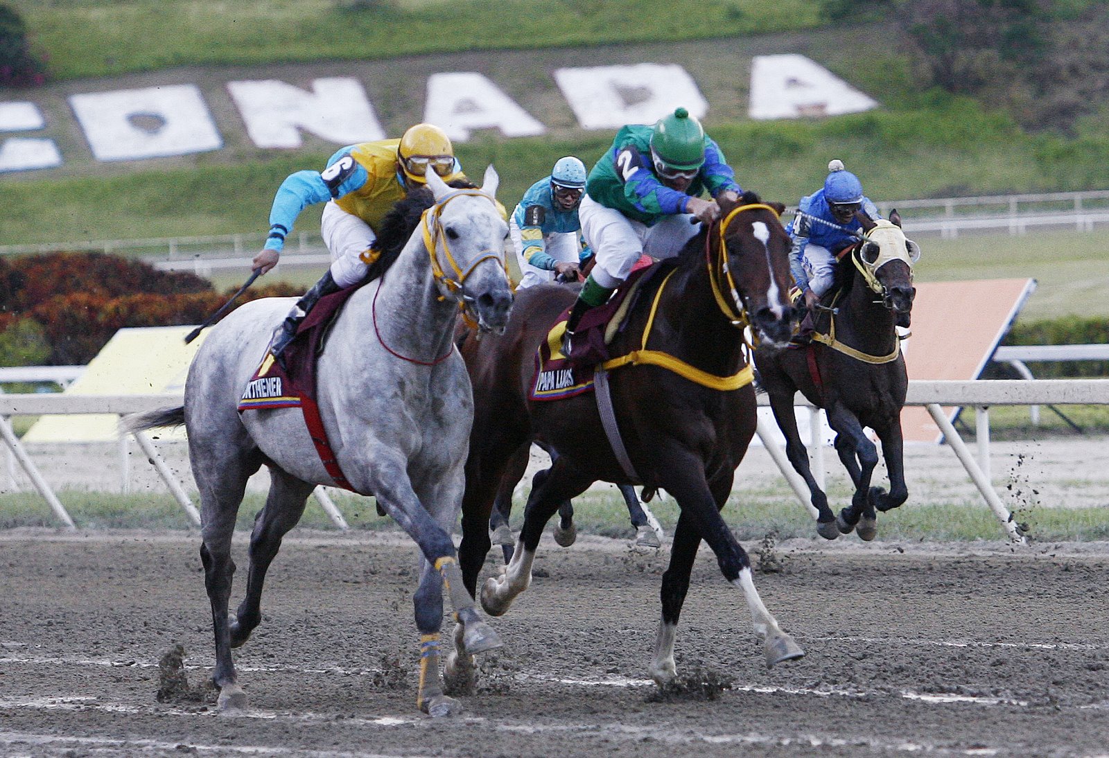 [1-_OTO2257.JPG]