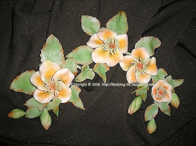 Flori din pasta de lapte praf/Gum paste flowers
