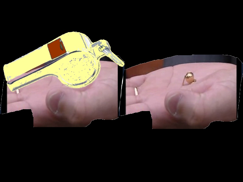 [mini_apito_chihuahua2.jpg]