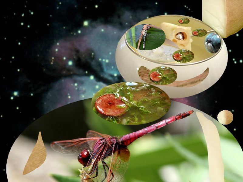 [planeta_estranho.jpg]