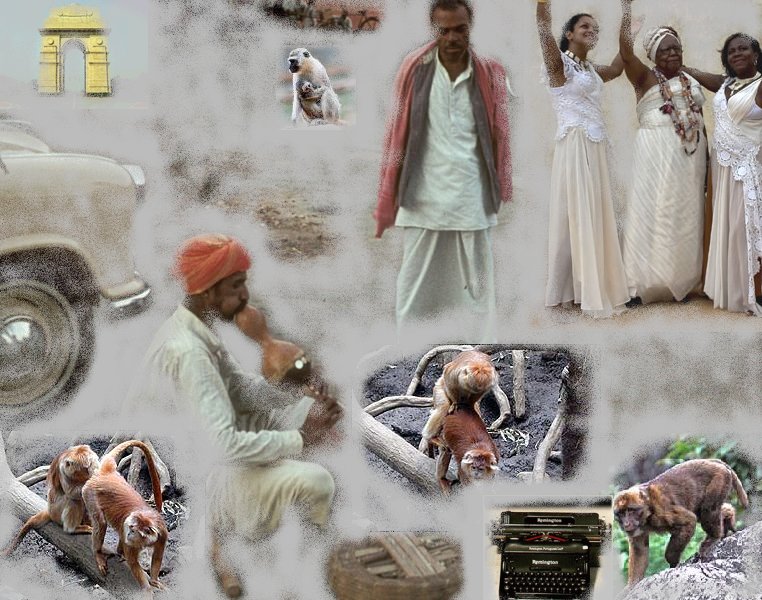 [macacos_nova_deli.jpg]