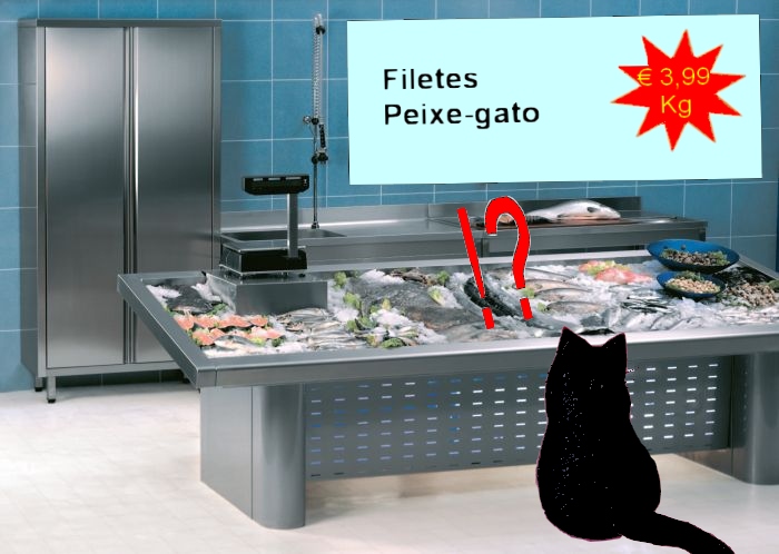 [filetes_peixe_gato.jpg]