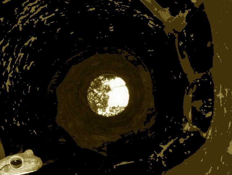 [sapo_fundo_poco.jpg]