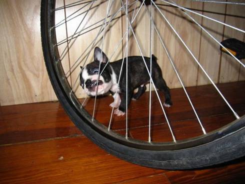 Fun_Time_20100110-010.jpg
