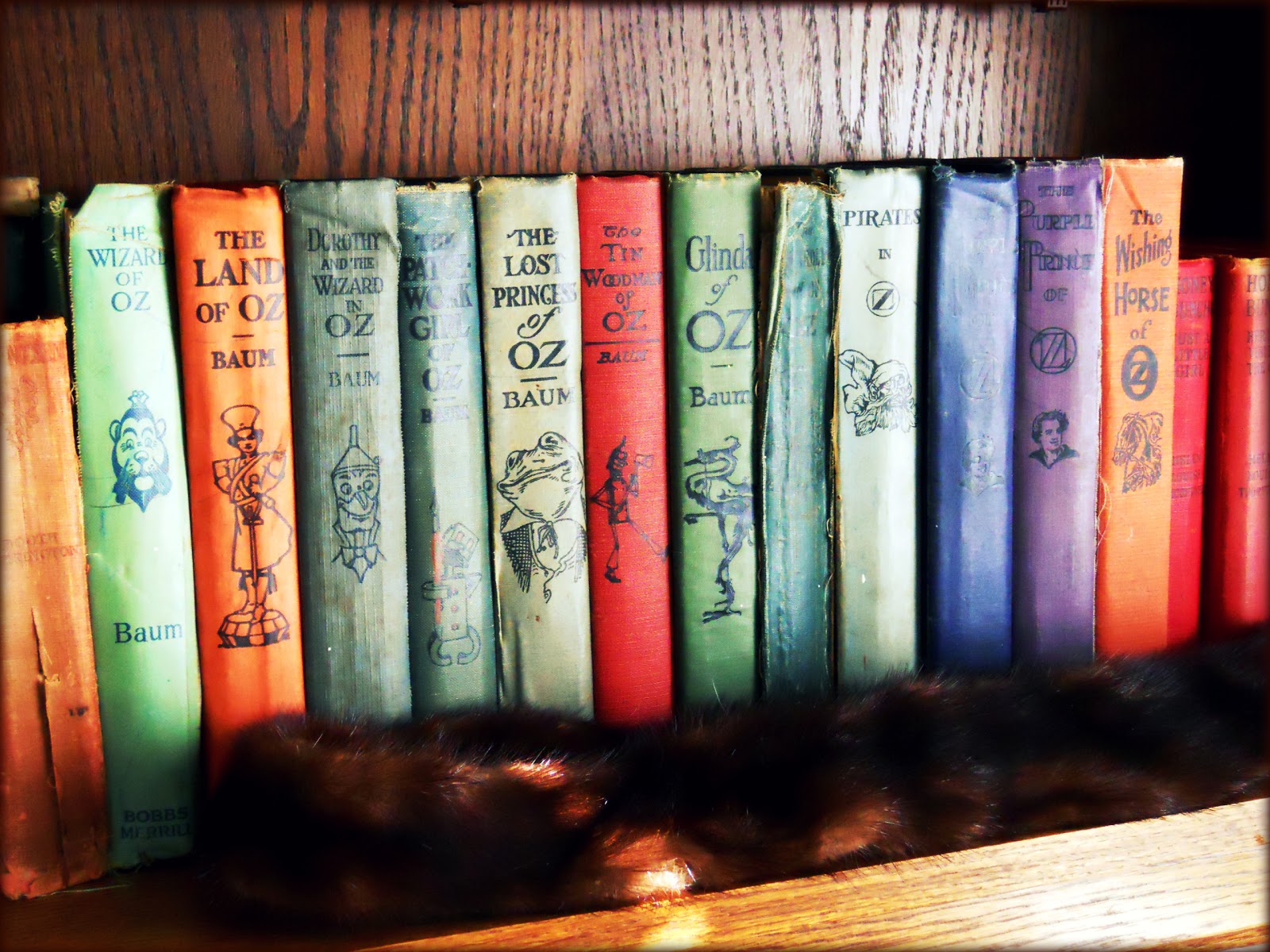 the land of oz books the land of oz books