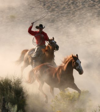 [cowboy+chasing+horse.jpg]